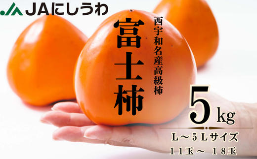 JAにしうわの季節のくだもの(富士柿5kg)＜E08-23＞【1443271】 - 愛媛