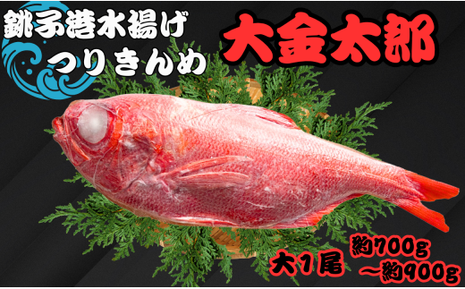 金目鯛 キンメダイ 1尾 約700g ~ 900g 銚子つりきんめ 大金太郎 銚子キンメ きんめだい 大きい金目鯛 銚子釣り金目 金目鯛 銚子 新鮮  銚子港水揚げ 瞬間冷凍 つりきんめ キンメ 釣り きんめ キンメダイ きんめだい おさしみ 刺し身 煮つけ アクアパッツァ お取り寄せ ...