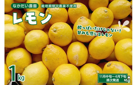 先行受付】栽培期間中農薬不使用「レモン」 約1kg レモン れもん 檸檬 特別栽培 皮まで安心 瀬戸内 産地直送 お取り寄せグルメ 送料無料 特別栽培農産物  先行予約 広島県 呉市 - 広島県呉市｜ふるさとチョイス - ふるさと納税サイト