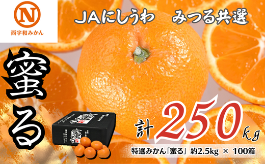 特選みかん「蜜る」計250kg(約2.5kg×100箱)＜H08-86＞【1510469