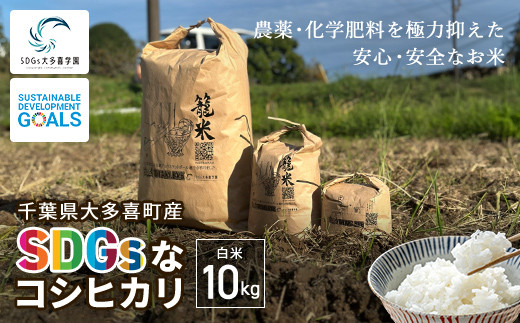 早い者勝ち】名古屋帯新品多数含むまとめ売り150点シミ汚れなし