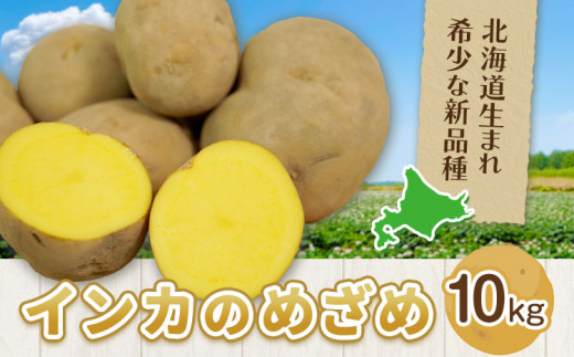 ykCYyzCĴ߂ 10kg Ⴊ юR_s30ȓɏoח\(yj)t WKC   kC Yy st-p