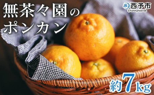 yQ\szX̃|J 7kg ʕ  t[c Iׂe ۂ񂩂 ݂  k 񂫂 { Â Z VN Ԍ Gߌ Yn Yi Q