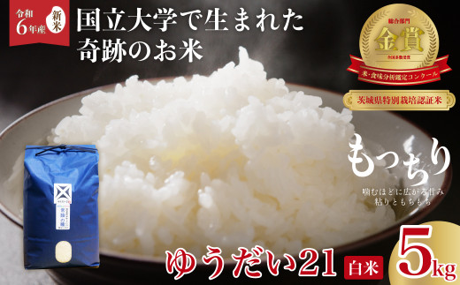 【令和６年産 新米】 2週間以内発送 品評会を席巻した奇跡のお米 ゆうだい21 常陸の瞳 白米５kg |茨城県 常陸太田市 ゆうだい21 ブランド米  宇都宮大学 GAP認証 森 ミネラル 水 山田川 安全 安心 美味しい 米 粘り もちもち 食感 希少品種 冷めても おいしい -