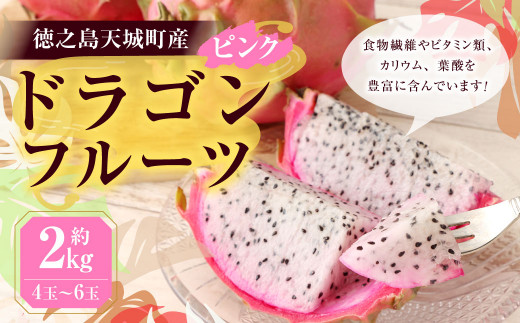 チルド送料込　２２品 島野菜＆果物セット　ドラゴンフルーツ・ゴーヤ・四角豆等 チルド送料込 22品 島野菜＆果物セット ドラゴンフルーツ