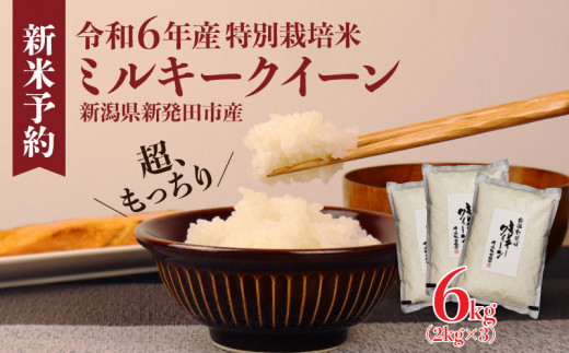 令和6年産 米 6kg 新潟県産 ミルキークイーン 2kg×3袋 精米 玄米
