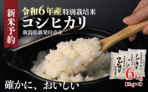 米 コシヒカリ 計6kg 2kg × 3袋 令和6年度 新潟県産 お米 白米 ご飯 玄米 おにぎり 弁当 個包装 小分け プレゼント ギフト 贈答  のし 新潟県 新発田市 - 新潟県新発田市｜ふるさとチョイス - ふるさと納税サイト