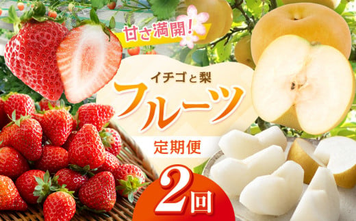 定期便 2回 】 甘さ 満開！ とちぎ イチゴ と 梨 の フルーツ 定期便｜ 果物 くだもの 定期 いちご いちご とちあいか なし 栃木県 真岡市  - 栃木県真岡市｜ふるさとチョイス - ふるさと納税サイト