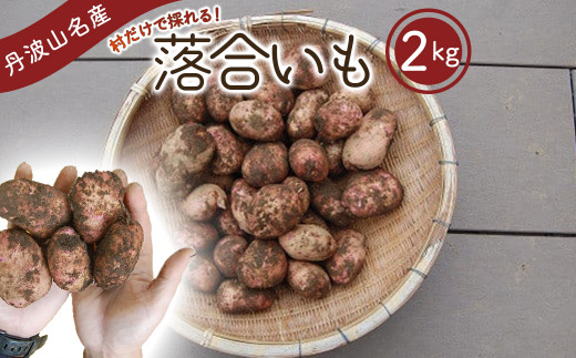 先行予約】 丹波山村の在来種 ジャガイモ 落合いも 約2kg ／ 2026年8月