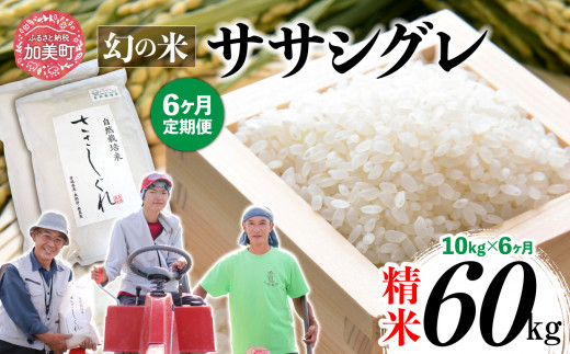 新米 太田 ササシグレ 精米 20kg】令和6年 無農薬 米 自然栽培