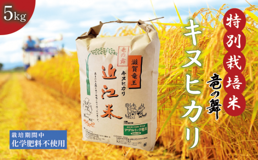 2024年9月収穫 キヌヒカリ 30㎏ （令和6年度 兵庫県産