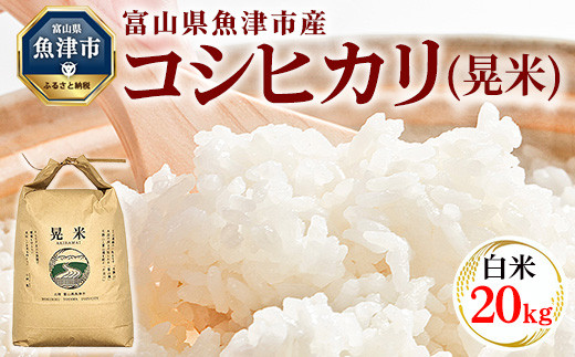 令和7年度米】【先行予約】【農家直送】環境配慮「魚津のコシヒカリ 