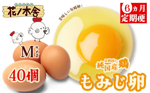 鶏卵　純国産鶏もみじ 純国産鶏もみじたまご | 商品紹介 | 広島の養鶏場｜世羅の里山 楡の木
