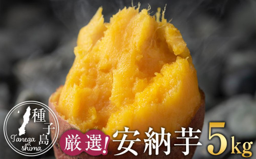 安納芋種子島産　Sサイズ20kgさつまいも焼き芋に 8 厳選！本場種子島産安納芋5kg【安納芋 安納いも 焼き芋 焼芋 やきいも