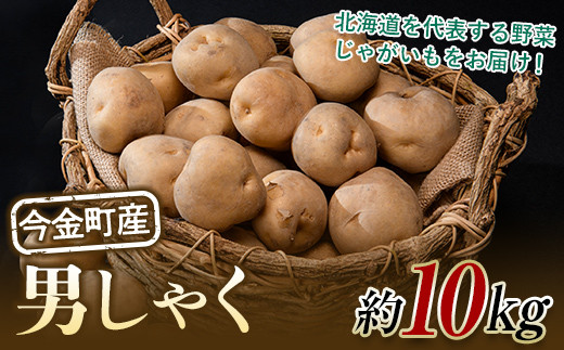 新鮮なじゃがいも　10キロ Amazon.co.jp: 九州産 新じゃがいも・じゃがいも 1ケース 約10kg