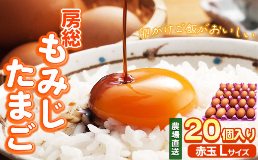 クーちんページ　３箱　９月５日出荷指定 家賃感覚で始めるZEH」に3バリエーション登場—ヤマト住建 | 新建ハウジング