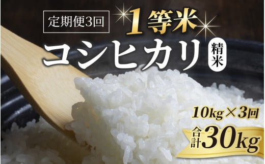 先行予約】【令和6年産】【一等米】コシヒカリ 精米 10kg 3回定期便（合計30kg） ／ 一等米 福井県産 ブランド米 ご飯 白米 お米 コメ  新鮮 新米 ※2024年10月中旬より順次発送 - 福井県あわら市｜ふるさとチョイス - ふるさと納税サイト