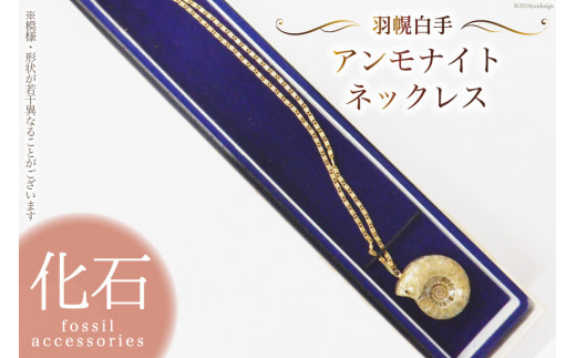 すんごい！アンモナイトのネックレスだよ！ AGVN611940TA タンザナイト ネックレス｜ネックレス｜ヴァンドーム青山