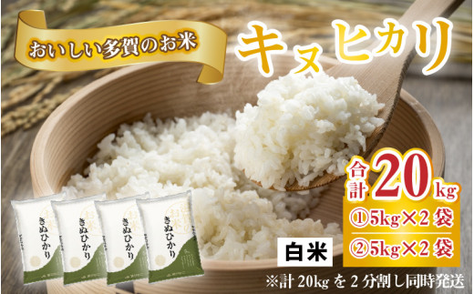 令和6年産】キヌヒカリ（計20kg）おいしい多賀のお米 [C-00401] - 滋賀県多賀町｜ふるさとチョイス - ふるさと納税サイト