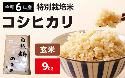 令和6年（2024年）度産 減農薬栽培米 こしひかり 5kg 玄米 宅配