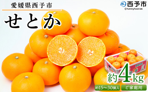 yQ\szQ\sY Ƃ ƒp 4kg 󂠂 s  ʕ t[c ݂ ~J  ZgJ IW k Iׂ Â Ԍ Hׂĉ Yi Fs{