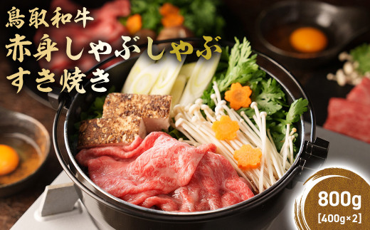 y挧qgsza Ԑg ԂԂĂ 800g ( 400g × 2 ) a Ԑg  Ef Ԃ Ă Y  uh a јa KR1071