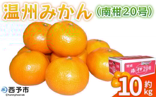 【愛媛県西予市】<温州みかん(南柑20号)約10kg> 果物 フルーツ みかん ミカン 蜜柑 オレンジ 柑橘 うんしゅうみかん ウンシュウミカン なんかん20ごう 食べて応援 特産品 JA えひめ南農業