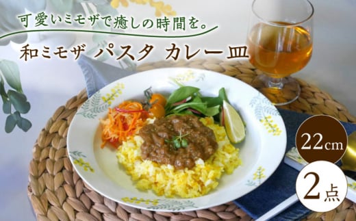 y茧gzygāza~U 22cm pX^EJ[M 2ZbgyaRz [WB152]