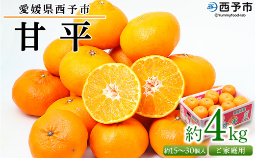 yQ\szQ\sY Õ ƒp 4kg󂠂 ʕ t[c k ݂  ~J IW ؂ JyC Ԍ Gߌ Â Hׂĉ Yi Fs{