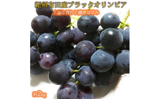 ya̎RxczIBLcY ubNIsA (n`~cԂǂ) 2kgm2026N8{ȍ~\nmUT107n