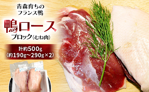 yXXsz[XubN(ނ˓)500gy1106346z