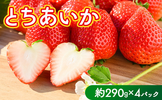 超歓迎された pd_f9ded02465d2ddd3c9c2fc90c46 ぬいぐるみ