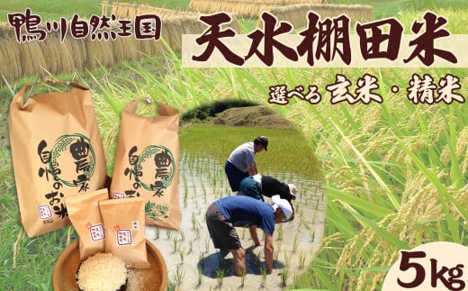 24まる様専用‼️20玄精米】