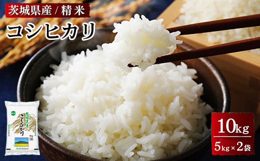 茨城県産 コシヒカリ 令和6年度産 10kg | 米問屋 彦左衛門商店