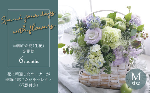 毎月お届け】季節のお花（生花・花器付き）の定期便・Mサイズ 6か月  