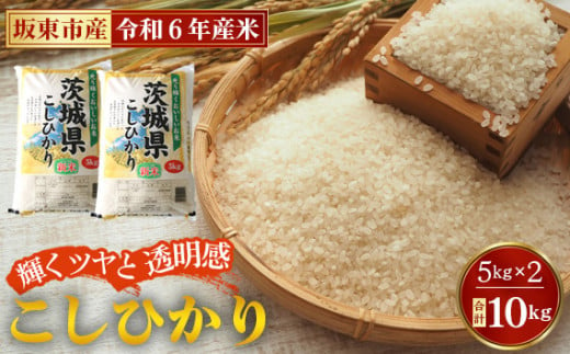 No.669 令和6年産 こしひかり10kg【坂東市産】 ／ コシヒカリ お米 こめ 茨城県 - 茨城県坂東市｜ふるさとチョイス - ふるさと納税サイト