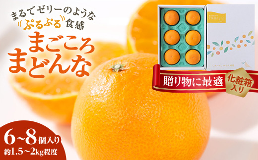 2025年11月より順次発送＞紅まどんなと同品種 愛媛果試28号 ギフト 