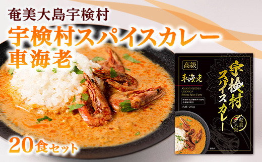 カレー・バイブル The bible of Curry CURRY BIBLE（カレーバイブル） カレー好きであれば知っとくべき知識