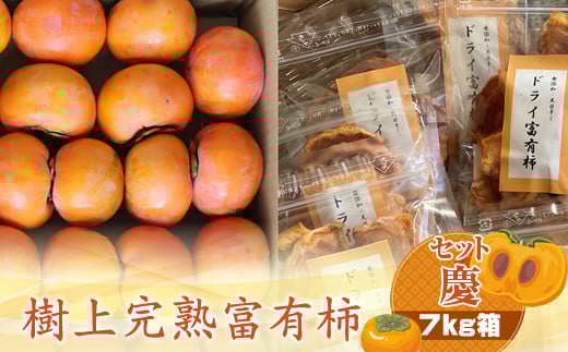 y_ސ쌧CVszÏnxL` yZbgcz7kg@qo׎F2025N1120o׊Jn`2025N1215o׏Iry `  t[c _ސ쌧 CVs z