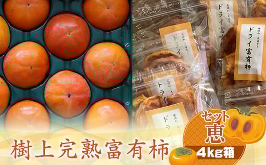 【神奈川県海老名市】樹上甘熟富有柿 【セット恵】4kg箱 〈出荷時期:2025年11月20日出荷開始〜2025年12月15日出荷終了〉【 柿 かき フルーツ 神奈川県 海老名市 】