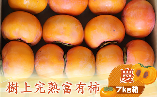 y_ސ쌧CVszÏnxL` ycz7kg@qo׎F2025N1120o׊Jn`2025N1215o׏Iry `  t[c _ސ쌧 CVs z