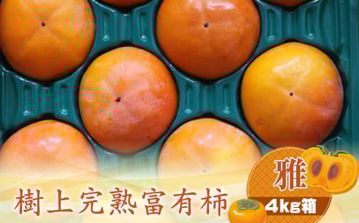 y_ސ쌧CVszÏnxL` yz4kg@qo׎F2025N1120o׊Jn`2025N1215o׏Iry `  t[c _ސ쌧 CVs z