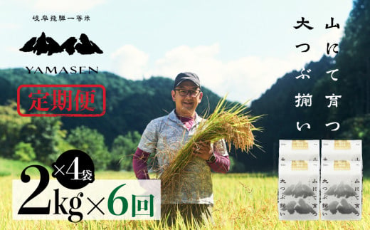 新米）令和6年産米【定期便】山仙（いのちの壱）2kg×2（4kg）×3回 すがたらいす 下呂市金山産 2024年産 毎月 4キロ×3カ月 お米 精米  下呂温泉 下呂市 米 ブランド米 - 岐阜県下呂市｜ふるさとチョイス - ふるさと納税サイト