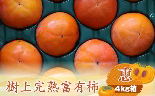 y_ސ쌧CVszÏnxL` ybz4kg@qo׎F2025N1120o׊Jn`2025N1215o׏Iry `  t[c _ސ쌧 CVs z