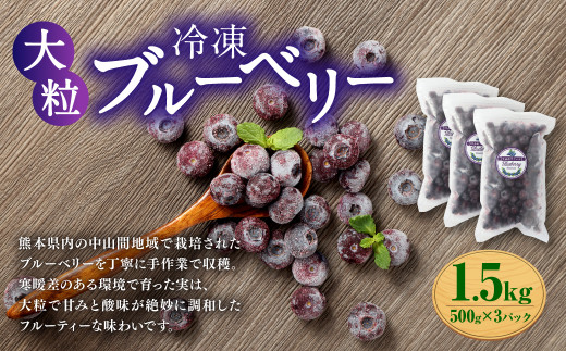 栃木県産‼️冷凍ブルベリー 2kg （全3回定期便】【加工用】冷凍