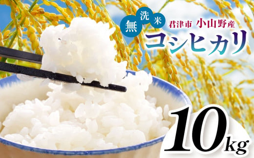 新米 1週間以内に発送】令和6年産 君津市小山野産 コシヒカリ 無洗米 10kg | 新米 しんまい こしひかり 千葉県産 むせんまい 米 コメ こめ  お米 すぐ発送 すぐ 千葉県 君津市 きみつ あかかげ農園 千葉稲作 - 千葉県君津市｜ふるさとチョイス - ふるさと納税サイト