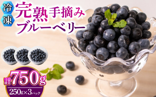 先行予約受付】【数量限定】 冷凍 ブルーベリー 計 750g 手摘み 【2025年7月より順次発送】 ( 小分け フルーツ 果物 スイーツ デザート  国産 ベリー シャーベット アイス ジェラート ジャム パン パンケーキ ヨーグルト おやつ スムージー 朝食 無農薬 長期保存 ) 下関 ...