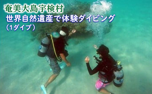 体験》体験ダイビング(1ダイブ) レジャー 旅行 観光 体験 自然 海 水泳 奄美大島 宇検村 鹿児島 - 鹿児島県宇検村｜ふるさとチョイス -  ふるさと納税サイト