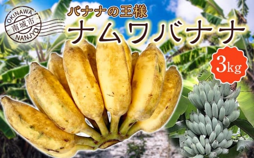 バナナ 南城市 ナムワバナナ3kg - 沖縄県南城市｜ふるさとチョイス - ふるさと納税サイト