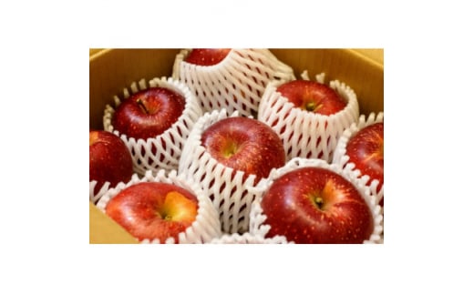 【長野県中野市】<2026年発送>フルーツ王国 長野県産 りんご 紅玉(こうぎょく) 約5kg(10〜18玉程度)【1541925】